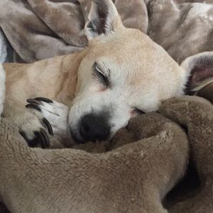 Meet your Posher, Jon